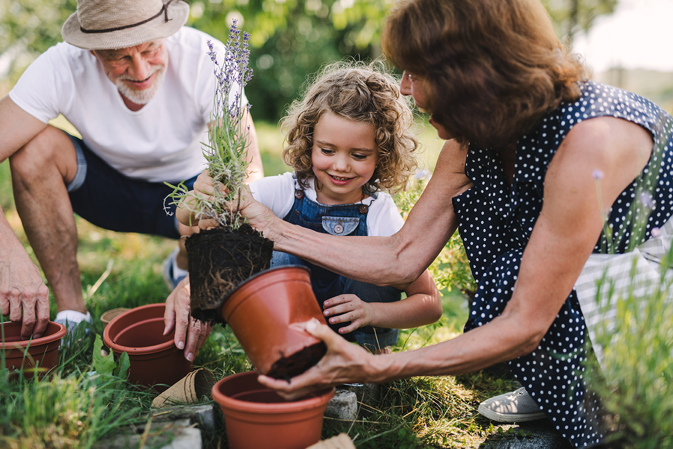 Wealth Insurance Planning and Management | Christian Pappas